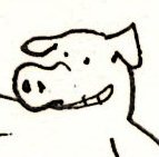 Cochonfucius drawn by Stéphane Cattaneo